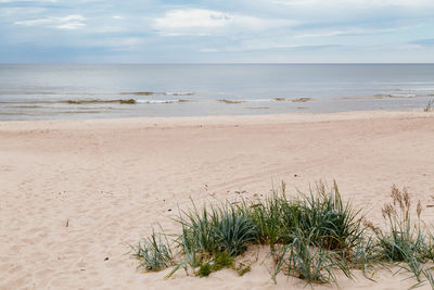 Scenic view of beach against sky