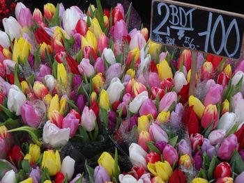 Close-up of flowers for sale in market