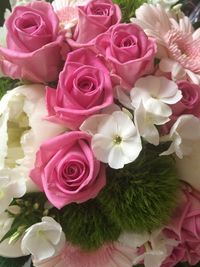 Close-up of pink roses