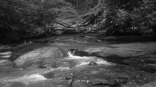 River flowing through rocks in forest