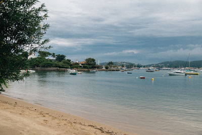 Sailboats moored in sea against sky