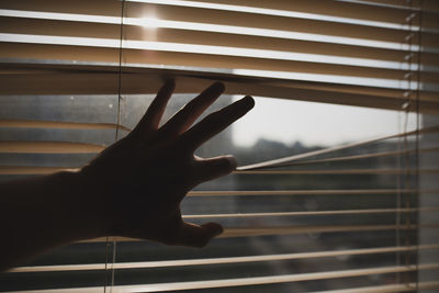 Cropped hand touching window blinds at home