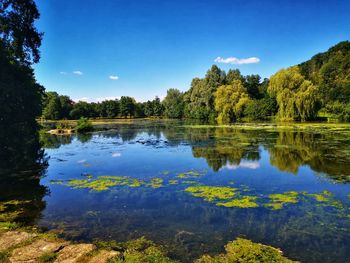 Scenic view of lake against blue sky