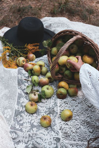 Cropped image of woman harvesting apples