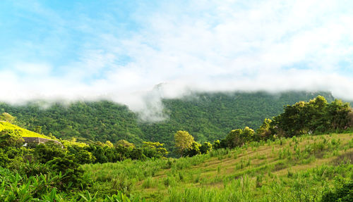 Scenic view of landscape against sky