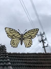 Close-up of butterfly perching on leaf