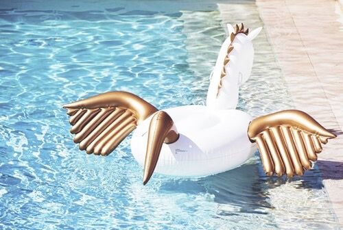 water, sea, relaxation, animal themes, rippled, one animal, sunlight, high angle view, day, bird, waterfront, chair, outdoors, nature, absence, white color, side view, swimming, no people, swimming pool