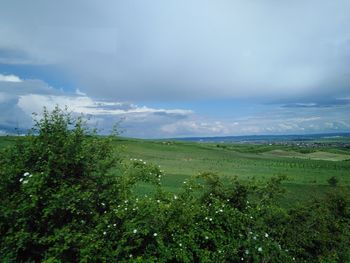 Scenic view of landscape against sky