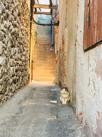 Narrow alley amidst buildings