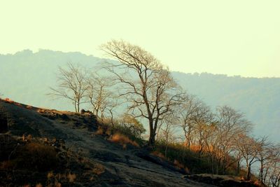 Road passing through landscape