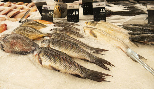 High angle view of fish for sale in market