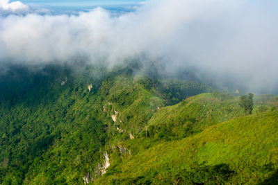 Scenic view of landscape