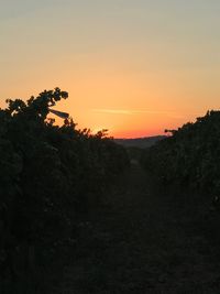 Scenic view of silhouette landscape against clear sky during sunset