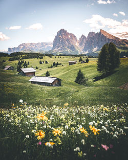 Scenic view of landscape and mountains against sky