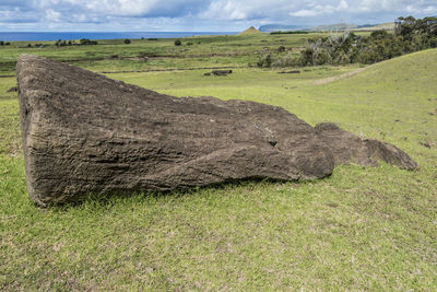 Scenic view of landscape