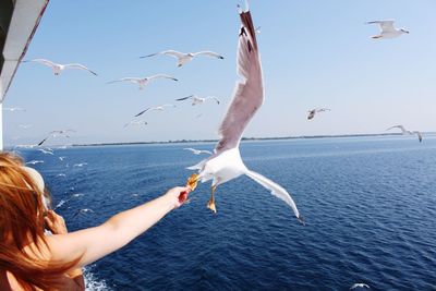 View of birds flying over sea against sky