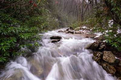Stream flowing through rocks in forest