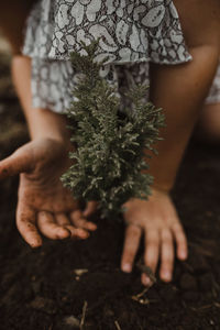 Midsection of young girl planting baby tree