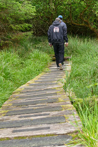 Rear view of man walking on steps