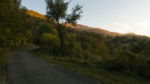 Road amidst trees against sky