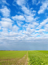 Scenic view of agricultural field against sky