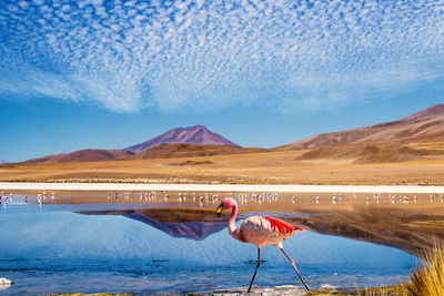 Scenic view of lake and mountains against blue sky