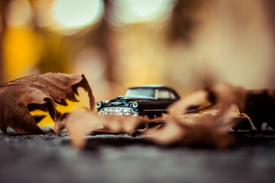 Close-up of toy car amidst dry autumn leaves on road