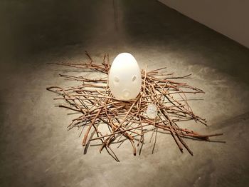 Close-up of illuminated lamp