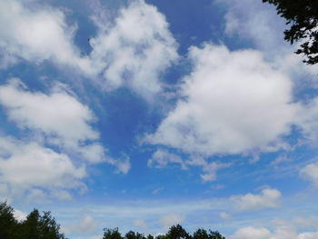 Low angle view of trees against blue sky