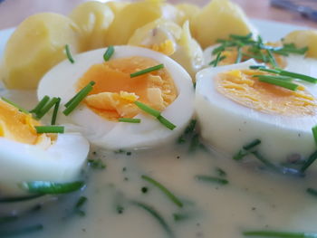 Close-up of food served in plate