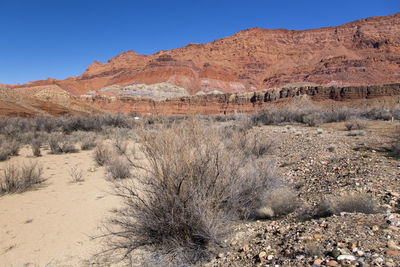 Scenic view of desert against clear blue sky