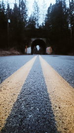 Road amidst trees