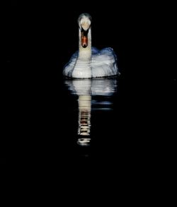 Reflection of light on black background