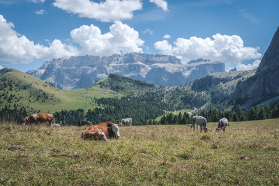 mountain