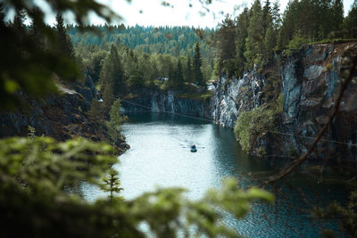 Scenic view of river amidst trees in forest