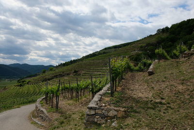 Scenic view of landscape against sky
