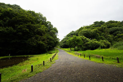 Road amidst trees against sky