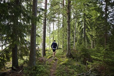 Rear view of man walking in forest