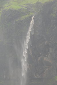 environment