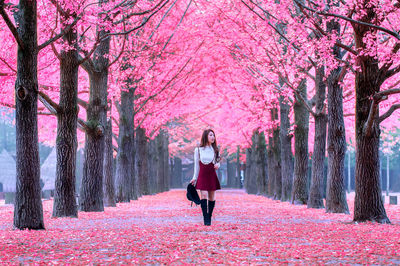 Young woman looking away while walking on field amidst cherry blossom at park