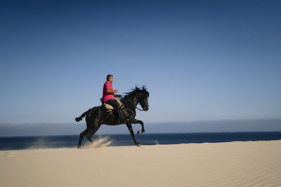 Male in red t shirt riding black horse on dry sand against cloudless blue sky on sunny day in dune