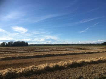 Scenic view of field against blue sky