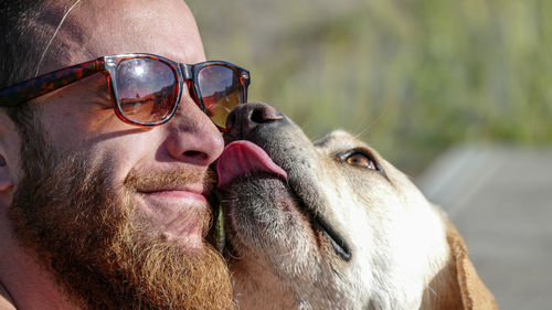Close-up of dog wearing sunglasses