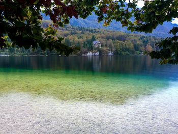 Scenic view of lake by trees