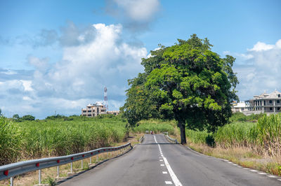 Road amidst trees and plants against sky