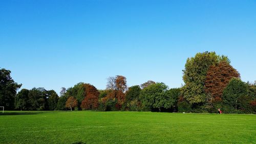 Scenic view of grassy field against blue sky