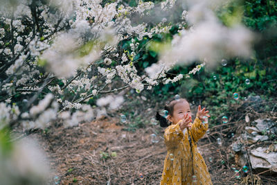 Full length of cute girl standing on plum blossoms garden