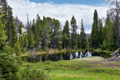 Wind river range, rocky mountains, wyoming, views from backpacking hiking trail to titcomb basin