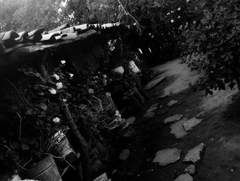 High angle view of rocks by trees