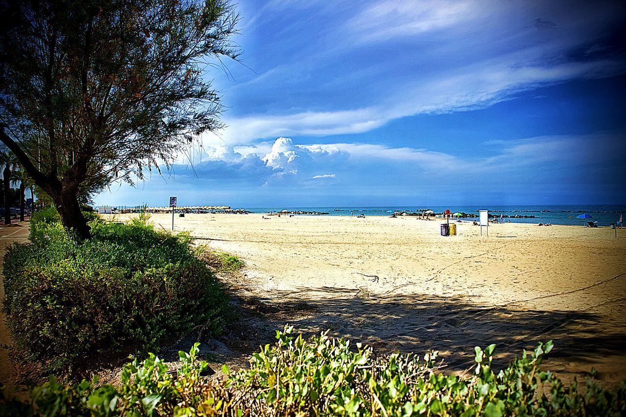 PLANTS ON BEACH AGAINST SKY